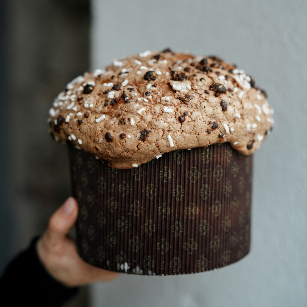 Panettone al cioccolato